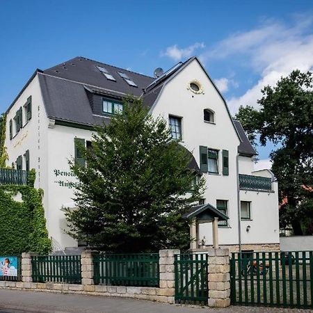 Villa Angelika Dresden Eksteriør bilde